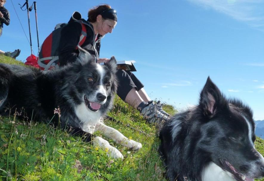 Pension Edelweiss Sankt Martin am Tennengebirge Exteriér fotografie